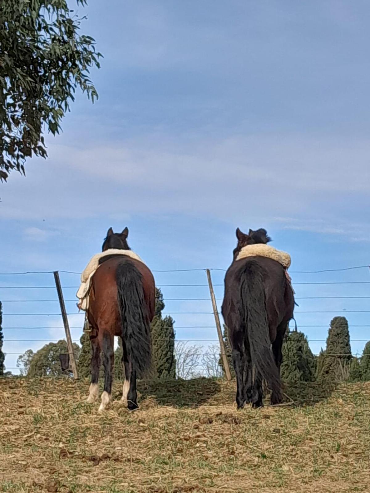 Chacras De Azcona Hosteria Azul Kültér fotó