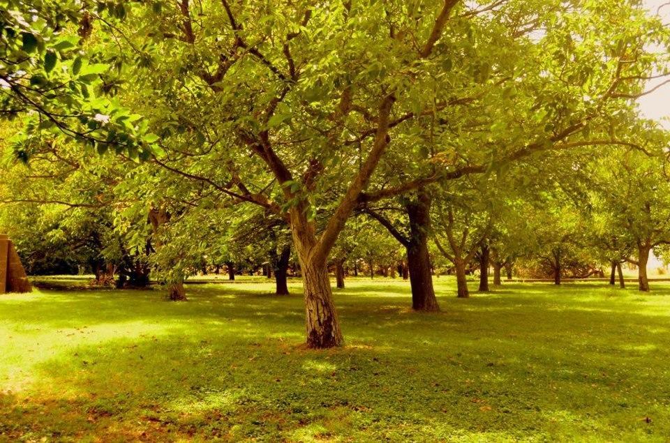 Chacras De Azcona Hosteria Azul Kültér fotó