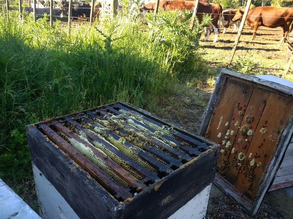 Chacras De Azcona Hosteria Azul Kültér fotó